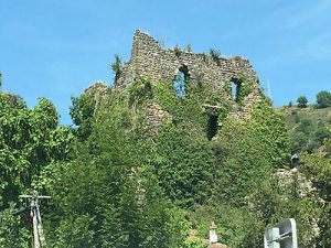 la_coop_les_figue_66_img7143