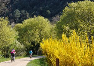 dolce-via-en-ardèche-voies-douces-d-ardèche-liaison-via-rhôna-et-train-de-l-ardèche-vallée-de-l-eyrieux-privas-centre-ardèche-pays-de-lamastre