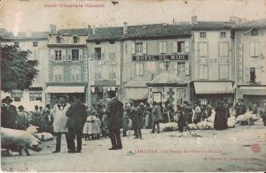 lamastre-le-pesage-des-porcs-au-marche-ed-deloche-b-001