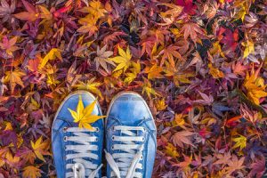 44295286-saison-d-automne-dans-les-chaussures-de-style-hipster