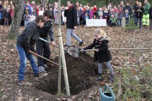 arbre-laicite-plantation-1enfant