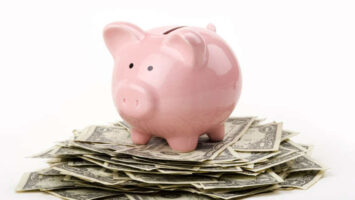 cochon porcelaine et billets