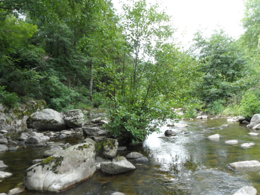 rivière